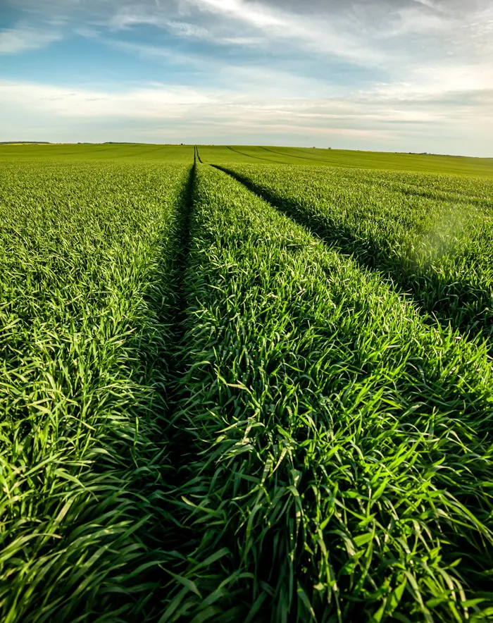 Agricultural