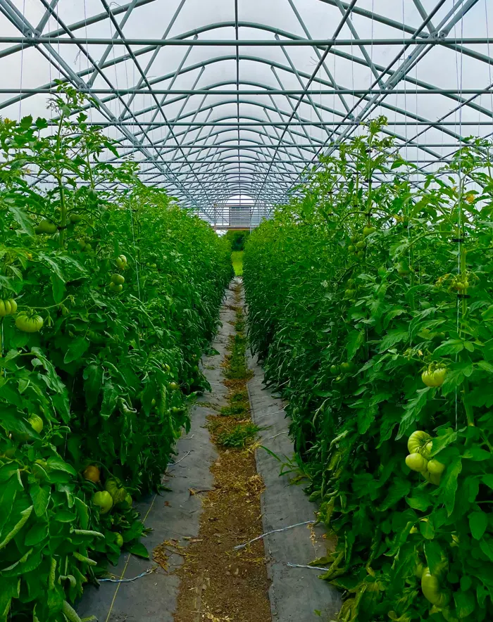 Agricultural Solutions